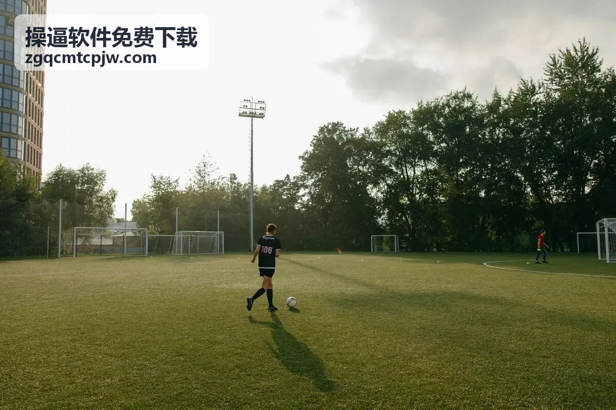 操逼软件免费下载安全使用指南