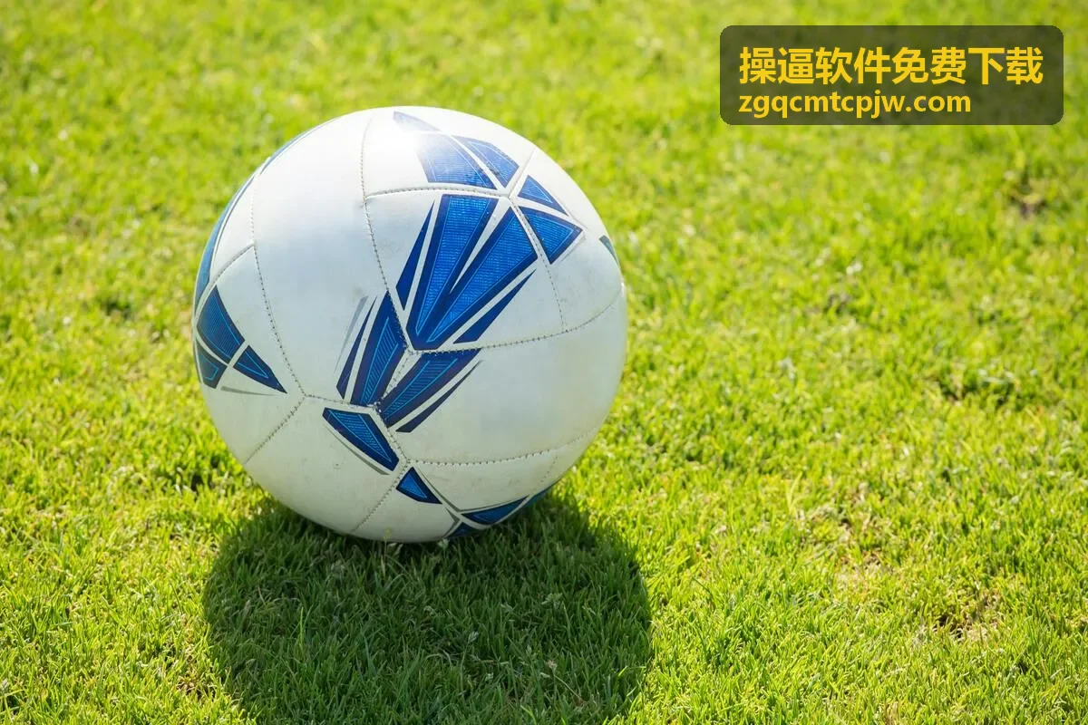 操逼软件免费下载中的亲密关系应用隐私设置